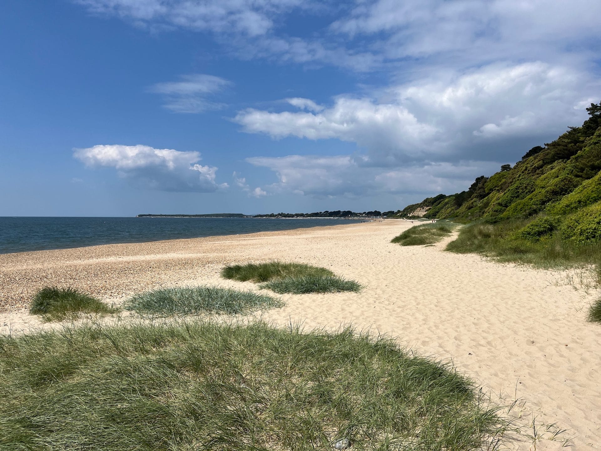 Explore the Magic of the Once-Abandoned, Highcliffe Castle