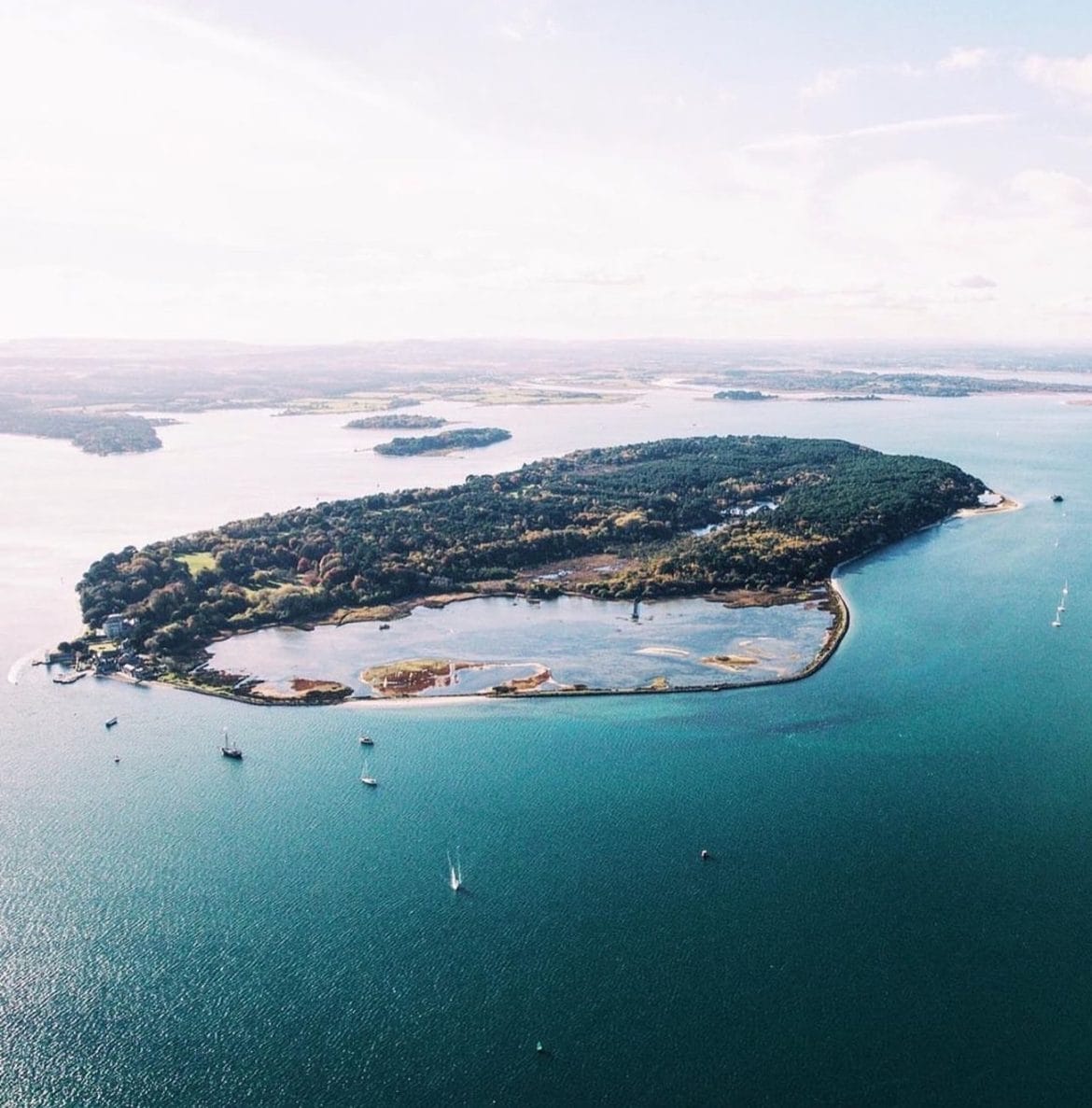 Why A Trip To Brownsea Island Should Be On Your Bucket List