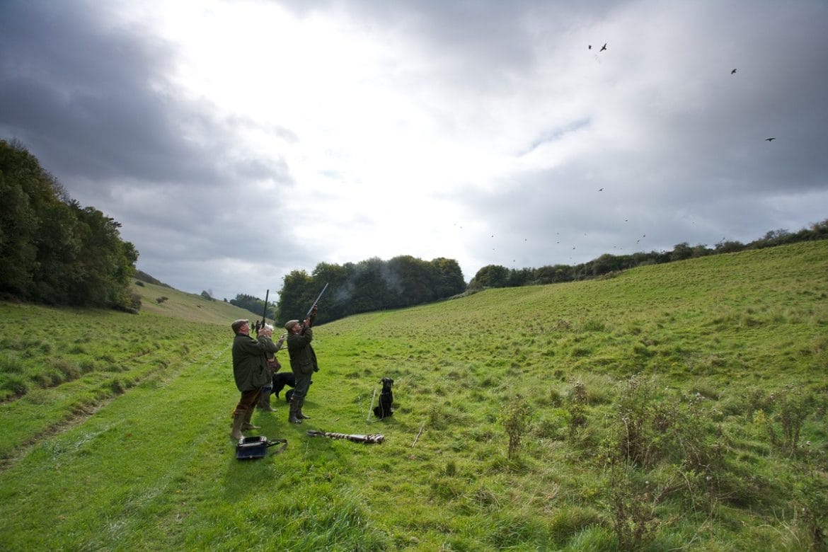 12 Unusual Things To See And Do In Dorchester, Dorset