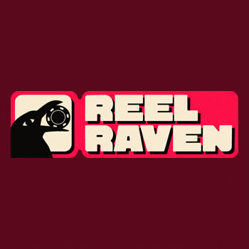 reelraven dse review